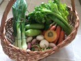 /album/galerie-de-photos-page-daccueil/panier-le%cc%81gumes-corrige%cc%81-jpg/